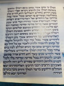 מגילת אסתר על קלף