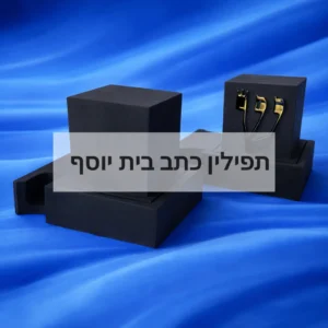זוג תפילין כתב בית יוסף אשכנזי מהודר, בתי בהמה גסה, מכון סת"ם ישורון.